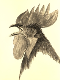 Mai 2014