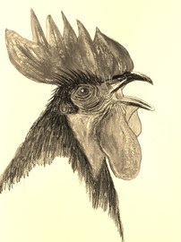 Mai 2014